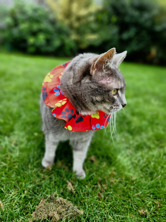 Bird Safe Cat Collar Cover l Red Paw Prints