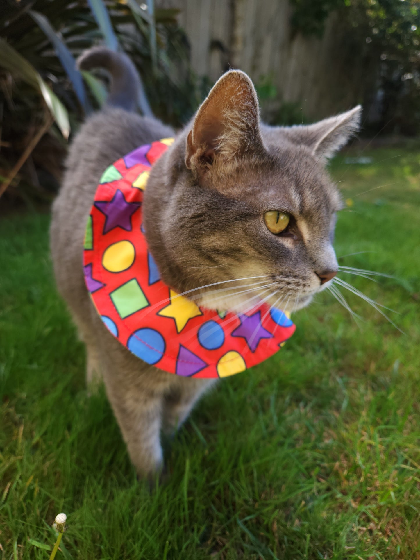 Bird Warning Cat Collar Cover | Shapes (Standard Size)