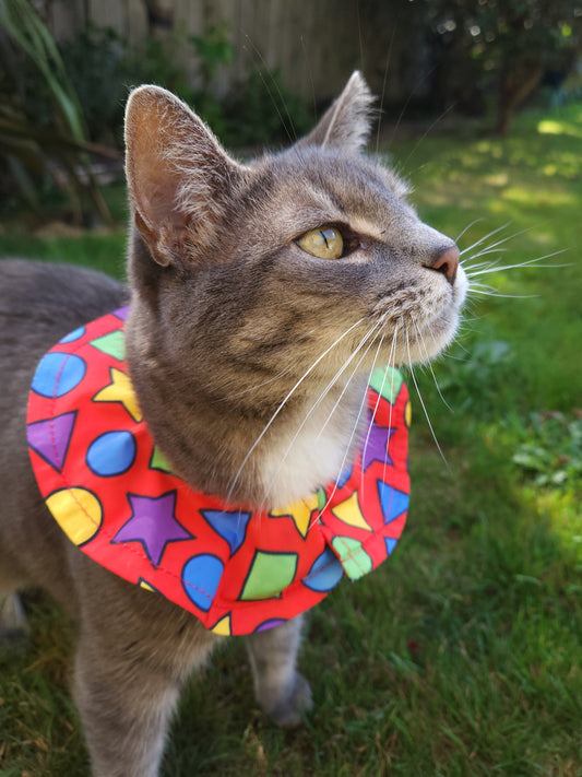 Bird Warning Cat Collar Cover | Shapes (Standard Size)
