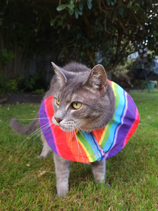Bird Warning Cat Collar Cover | Rainbow (Long Fur / Extra Visibility)